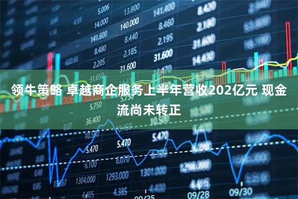 领牛策略 卓越商企服务上半年营收202亿元 现金流尚未转正