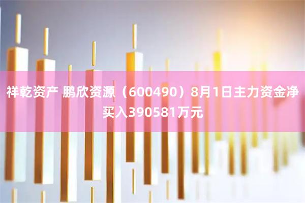 祥乾资产 鹏欣资源（600490）8月1日主力资金净买入390581万元